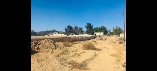 فرصه ذهبيه للاستثمار - 3
