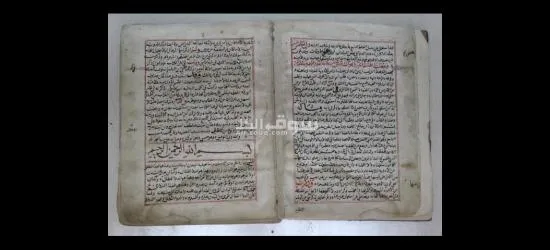 اصلي مش تقليد التقليد جامعه سعود - 6