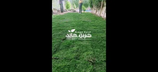 نجيل طبيعي ونباتات زينه