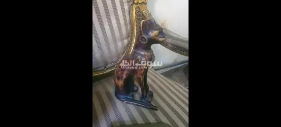 جنالكيس الاسكندرية