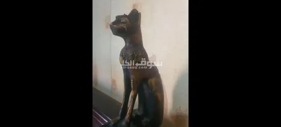 جنالكيس الاسكندرية - 3