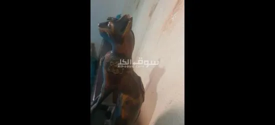 جنالكيس الاسكندرية - 2