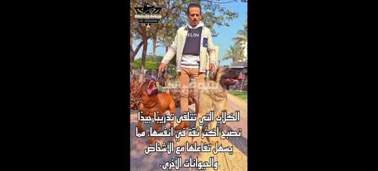 مدرب كلاب متخصص