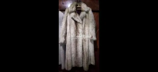 الإسكندرية - 7