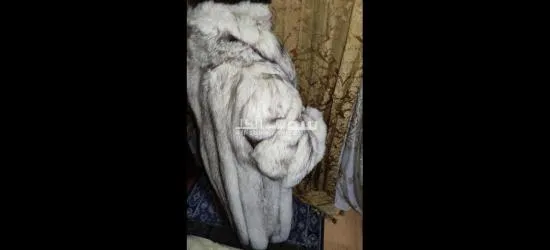 بالطو فرير للبيع مستورد من فرنسا نوع الفرو فو**** بريميم قابل للفصال - 4
