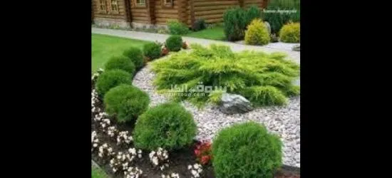 شركة اللاند سكيب لتجميل الاماكن المرئيه - 8