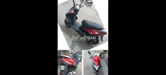 اسكندريه ابيس التانيه عند مدخل الصرف
