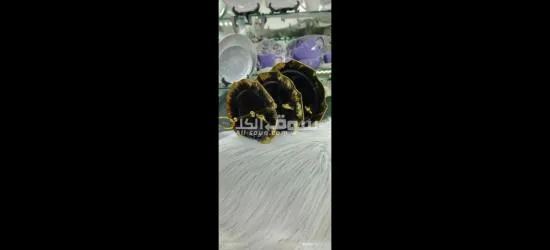 شيالة 3دور للحلويات والمناسبات - 7