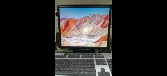 NEC Monitor LCD Multisync lcd 1770vx-BK
