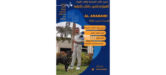 مدرب كلاب متخصص تدريب الكلاب بالأمر والإشارة K9