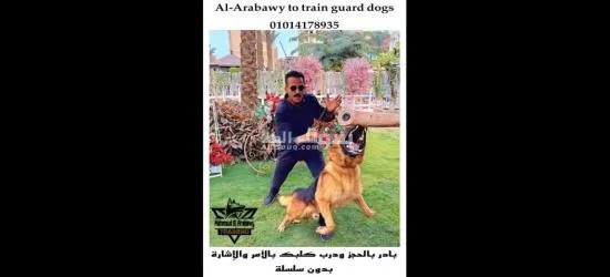 معالجة سلوكيات غير مرغوب فيها ت