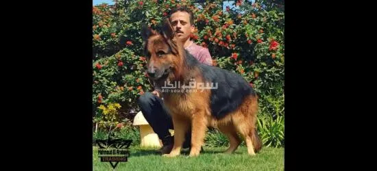 معالجة سلوكيات غير مرغوب فيها ت - 2