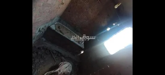 شارع المدارس ، ميامي الجديدة ، الاسكندرية