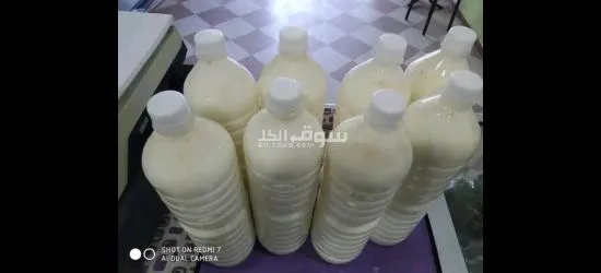 مصنع البان وجبنه