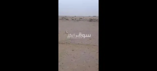 مدينه العبور الجديده بالقادسيه