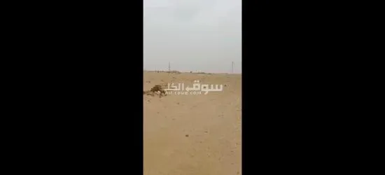 مدينه العبور الجديده بالقادسيه - 5