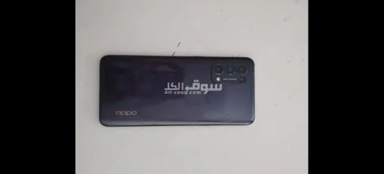 ابيار كفر الزيات - 3