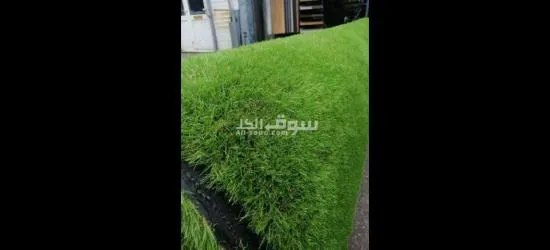 نجيلة صناعى باقل الاسعار ولاند سكيب تركي وهولاندى - 3