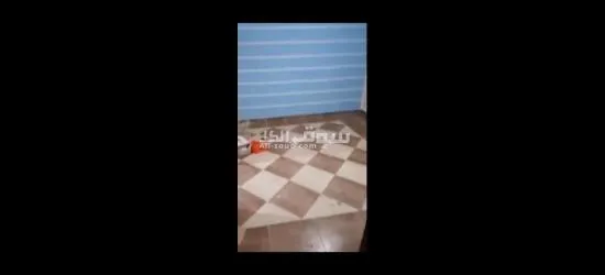 شقه عريس للبيع على قد الايد