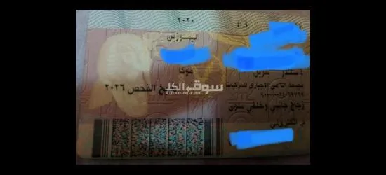 بي واي دي اف٣ موديل ٢٠ للبيع - 3