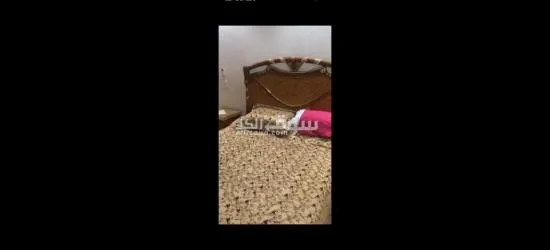 شقه مفروش للايجار - 14