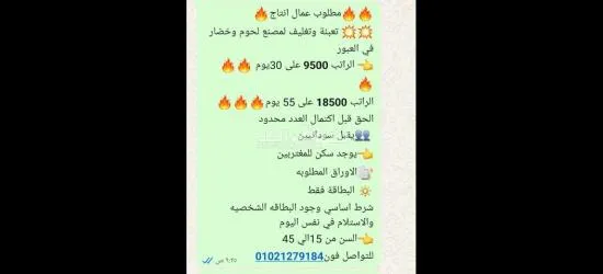 عاجل مطلوب عامل لمصنع الجبنه وألبان تعبئة وتغليف في اكتوبر - 3