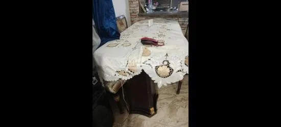 الزيتون. - 2