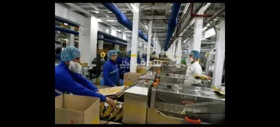 مطلوب عمال انتاج في مصنع شيبسي في العبور - 1