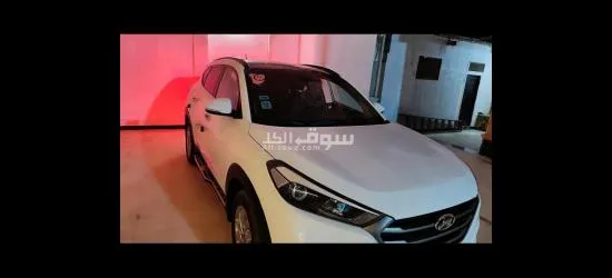 قطور الغربيه - 12