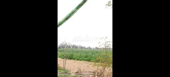 اراضي زراعيه تبدء من 100 فدان - 2