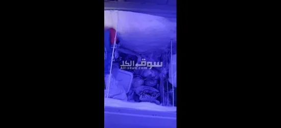 فريزر للبيع مستعمله لدواعي السفر - 3