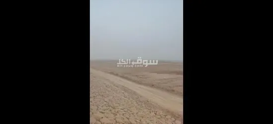 ربنا يبارك لصاحب النصيب
