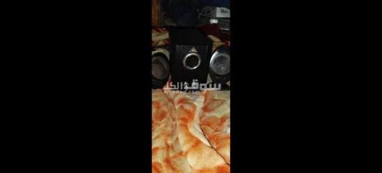 تايجر من النوادر انك تلاقى بالحاله دى - 2