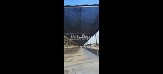 شبك زراعي جديد فقط