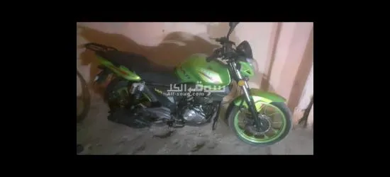 موتسكل فيجوري - 1