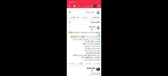 افراد امن بالشيخ زايد