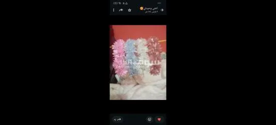 كفر الشيخ سيدي سالم دمرو الحدادي بجوار جامع الع******ه - 2