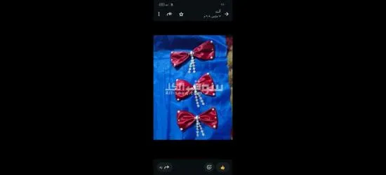 كفر الشيخ سيدي سالم دمرو الحدادي بجوار جامع الع******ه - 4
