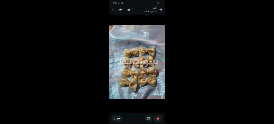 كفر الشيخ سيدي سالم دمرو الحدادي بجوار جامع الع******ه - 6