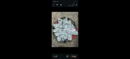 كفر الشيخ سيدي سالم دمرو الحدادي بجوار جامع الع******ه - 8