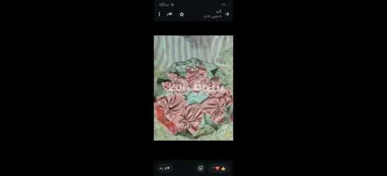 كفر الشيخ سيدي سالم دمرو الحدادي بجوار جامع الع******ه - 9