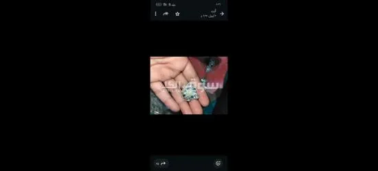 كفر الشيخ سيدي سالم دمرو الحدادي بجوار جامع الع******ه - 10