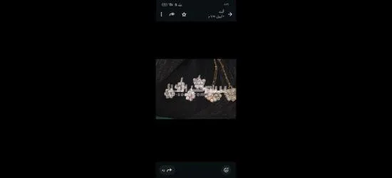 كفر الشيخ سيدي سالم دمرو الحدادي بجوار جامع الع******ه - 11