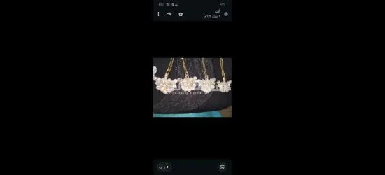 كفر الشيخ سيدي سالم دمرو الحدادي بجوار جامع الع******ه - 12
