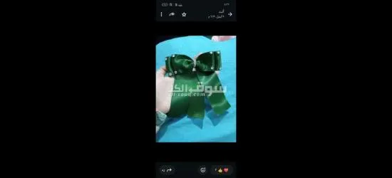 كفر الشيخ سيدي سالم دمرو الحدادي بجوار جامع الع******ه - 14