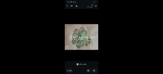كفر الشيخ سيدي سالم دمرو الحدادي بجوار جامع الع******ه - 15