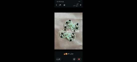 كفر الشيخ سيدي سالم دمرو الحدادي بجوار جامع الع******ه - 17