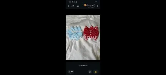 كفر الشيخ سيدي سالم دمرو الحدادي بجوار جامع الع******ه - 19