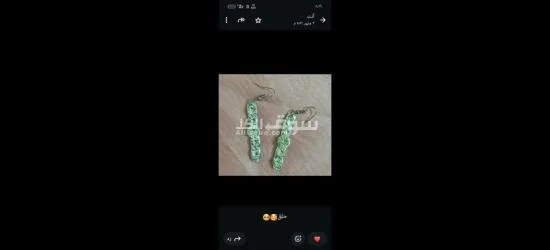 كفر الشيخ سيدي سالم دمرو الحدادي بجوار جامع الع******ه - 20