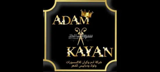 كفر الشيخ سيدي سالم دمرو الحدادي بجوار جامع الع******ه